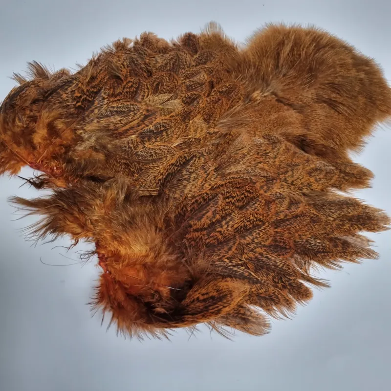 Whiting Coq de Leon Hen Soft Hackle with Chickabou in Speckled Burnt Orange-9